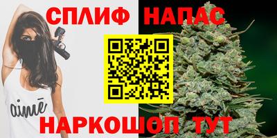 бошки Брянск