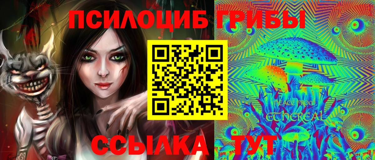 Псилоцибиновые грибы прущие грибы Великие Луки