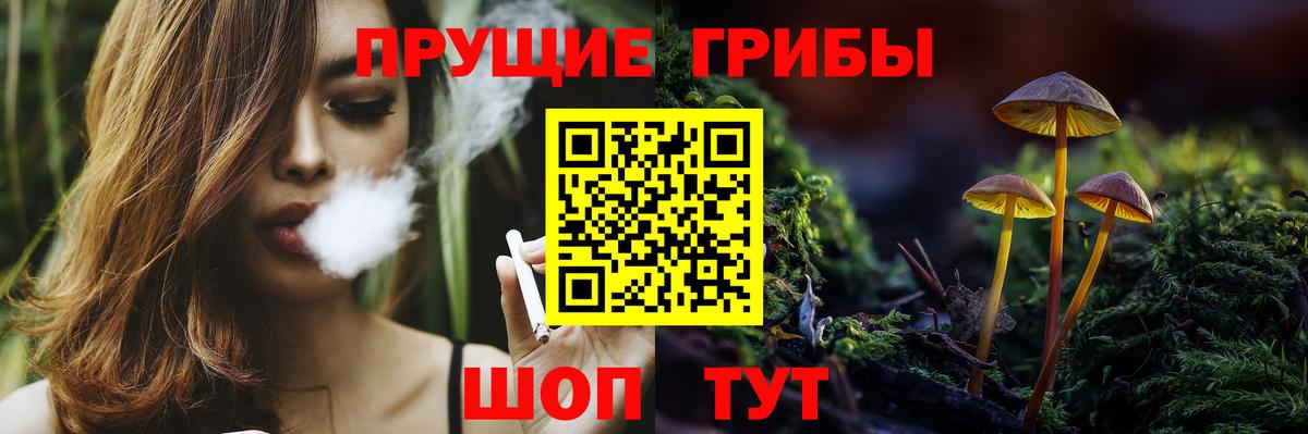 Великие Луки  Псилоцибиновые грибы Cubensis  Вход с VPN 